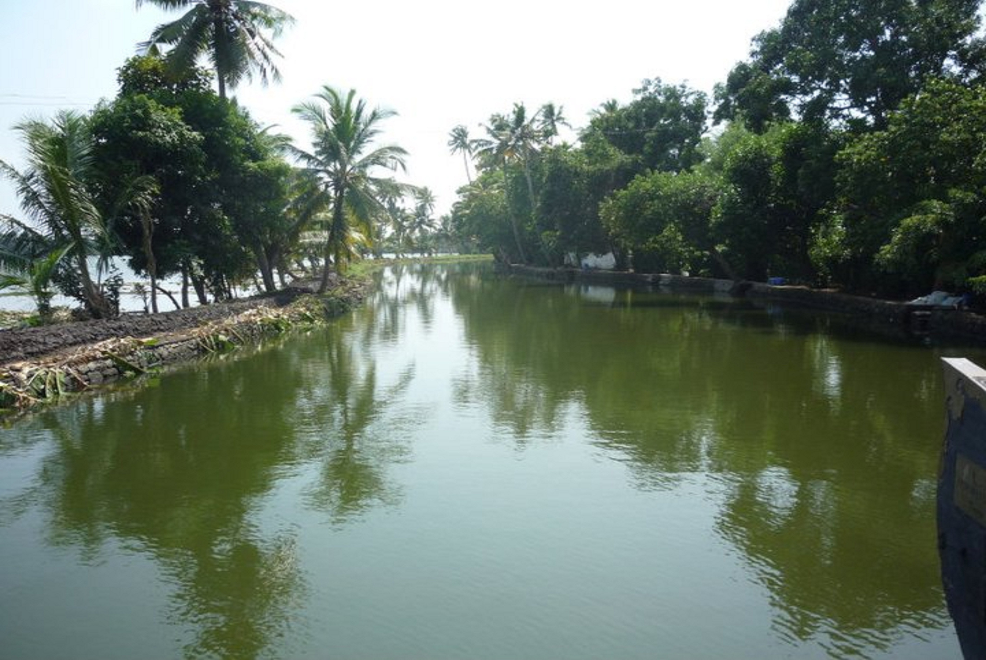 Alleppey